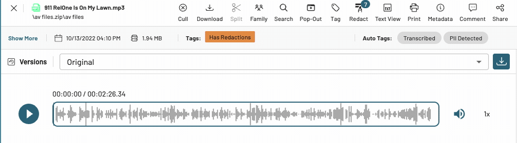 audio-redaction