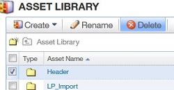 Selecting and Deleting content from the Asset Library