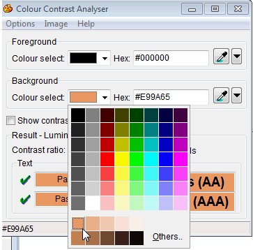 Colour Constrast Analyser showing alternative shades