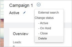 Selecting Take action, delete from the Campaign Profile