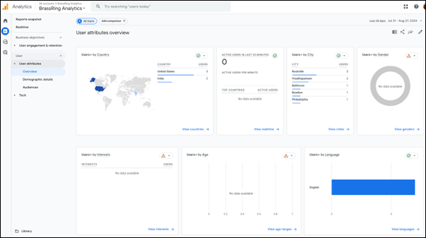 BrassRingAnalytics3