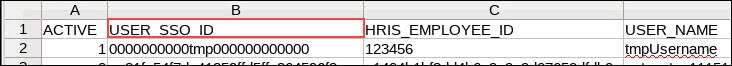 USER_SSO_ID column in CVS spreadsheet