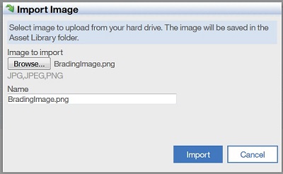 The Import Image window