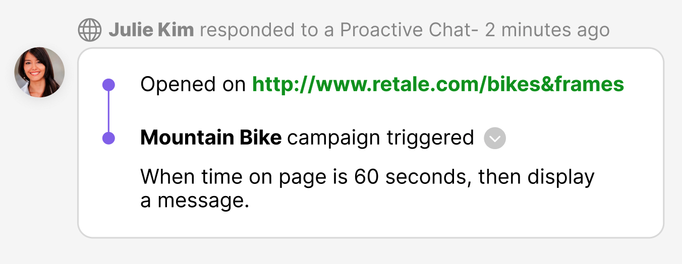 Julie Kim discusses a Mountain Bike campaign triggered after 60 seconds on the webpage.