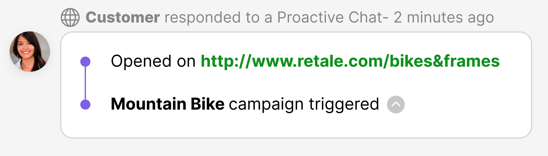 Customer interaction showing a triggered Mountain Bike campaign link opened.