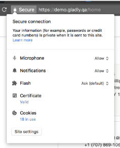 Secure connection settings showing microphone, notifications, and cookie preferences options.