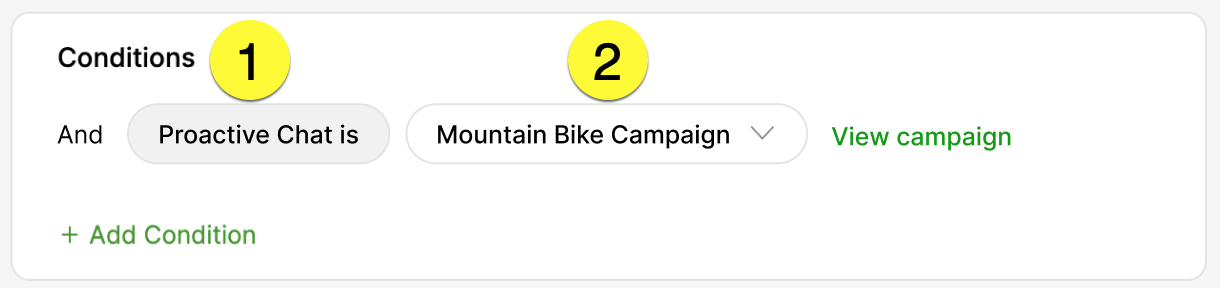 Conditions for Proactive Chat and Mountain Bike Campaign settings are displayed.