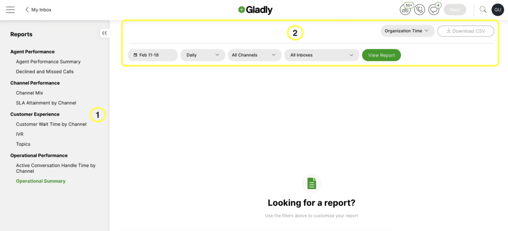 Report interface showing filters for customer experience metrics and performance summaries.