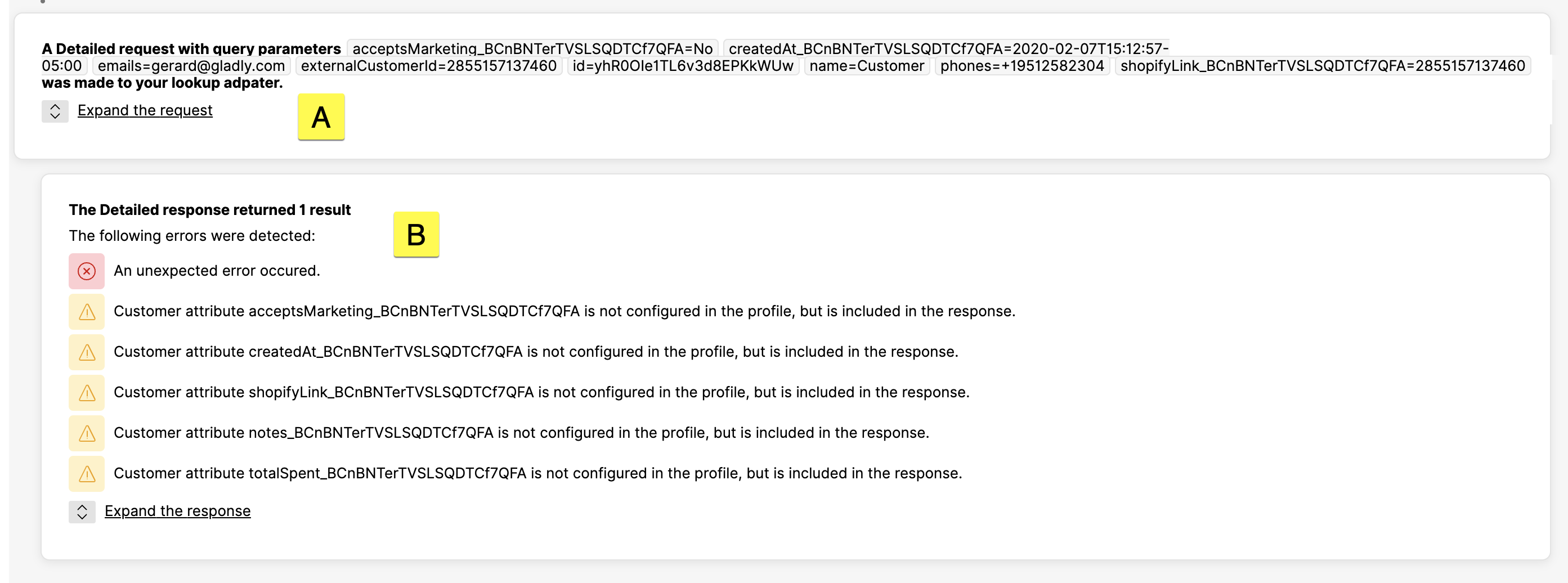 Detailed request showing errors related to customer attributes and unexpected issues.