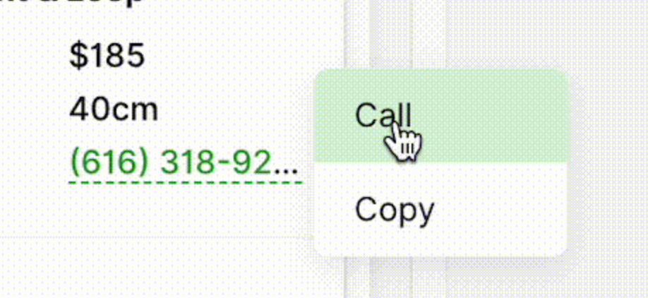 User interface showing a phone number with options to call or copy it.