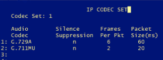 Display of IP codec settings with audio codec options and packet sizes listed.