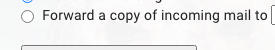 Option to forward incoming mail to another address is displayed in the settings.