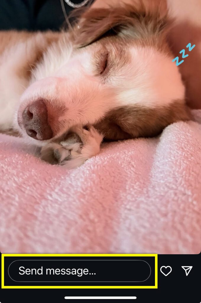 A sleeping dog rests peacefully on a soft surface, with a message box below.