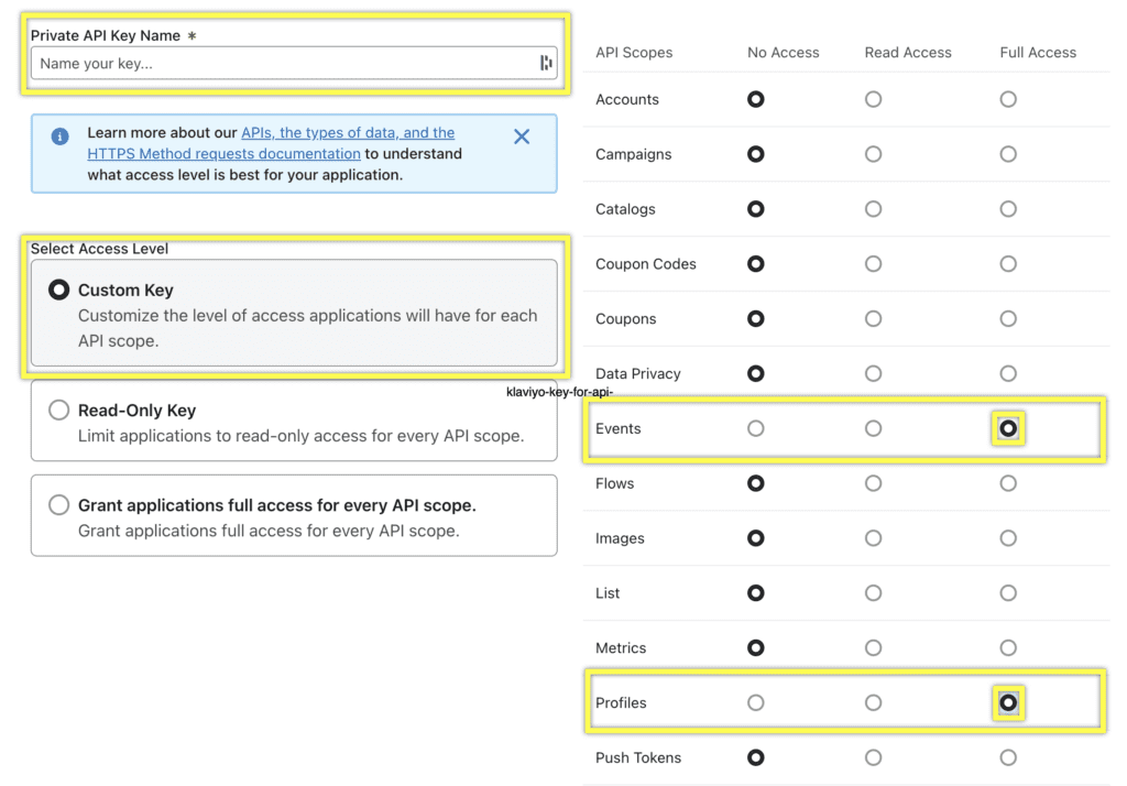 Form for entering a private API key and selecting access levels for API scopes.