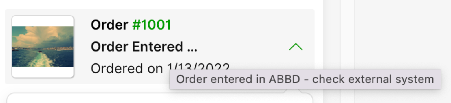 Order #1001 details including entry confirmation and external system check instruction.