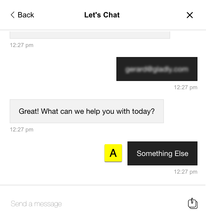 Chat interface displaying a message asking how to assist the user today.