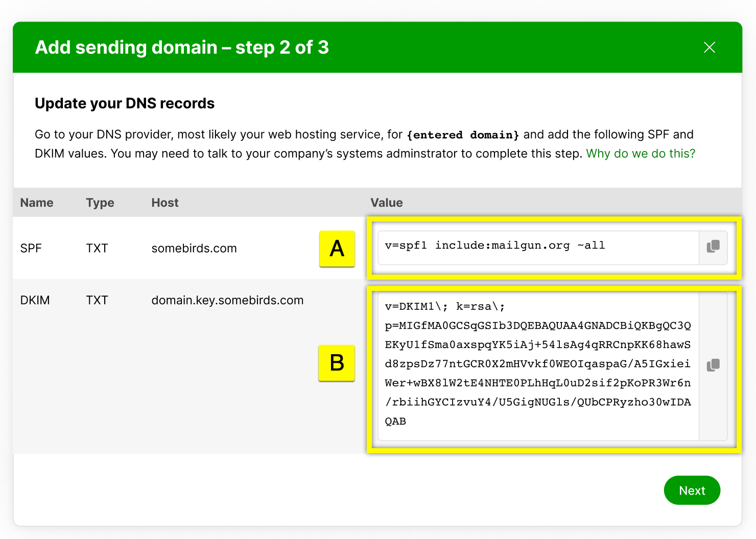 Instructions for updating DNS records with SPF and DKIM values for email configuration.