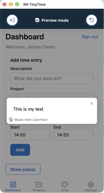 The flow running in the app in Preview mode