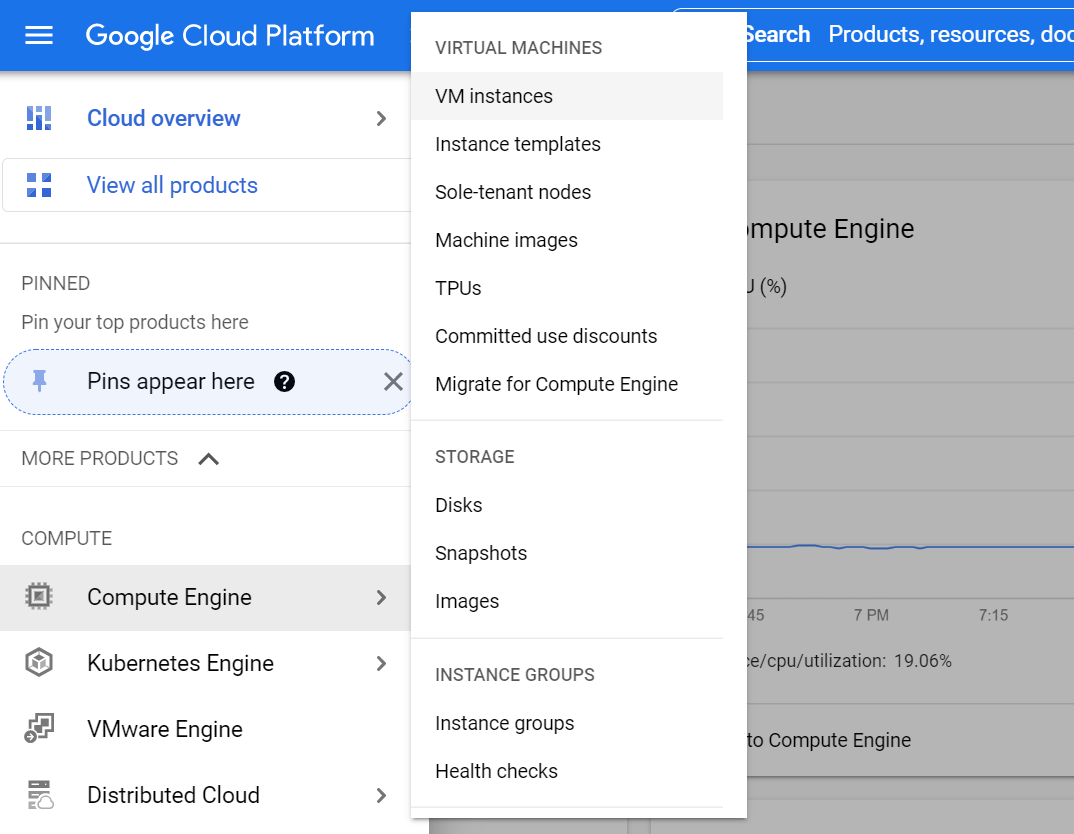 GCPiNode VM Instances