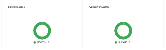 service container status