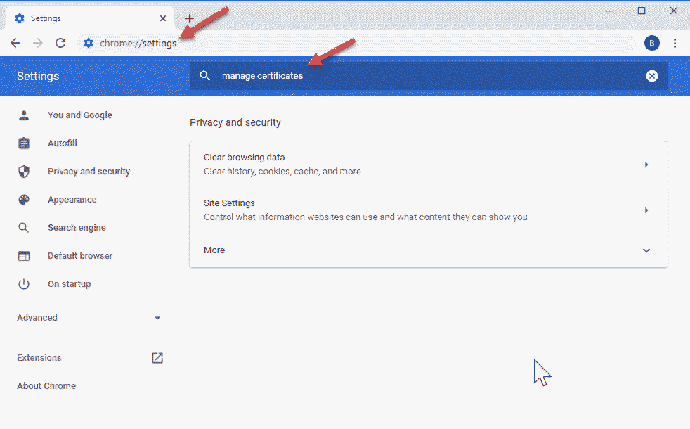 ENA-NetShield-UTM-installSSLCert-googleAdmin-typeChromeSettings