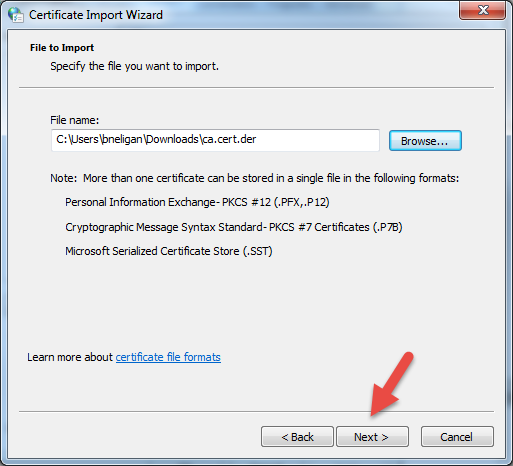 ENA-NetShield-UTM-installSSLCert-windowsOS-wizardBrowseNext